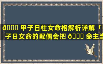 🐕 甲子日柱女命格解析详解「甲子日女命的配偶会把 🐛 命主当孩子」